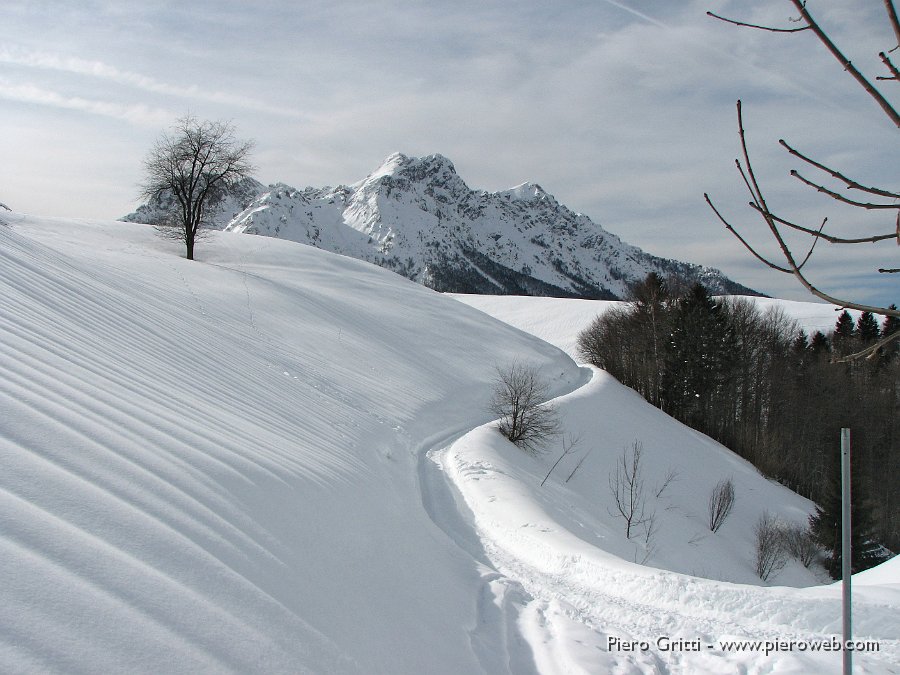 21 Strada verso l'Alben.jpg